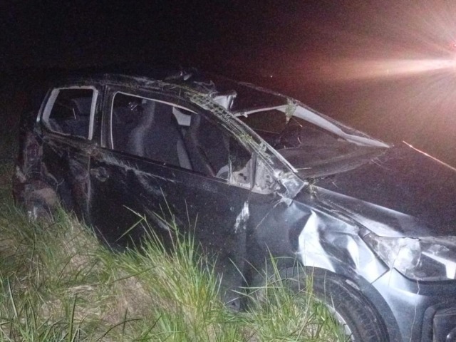 Choc con un carpincho y volc en la ruta 226